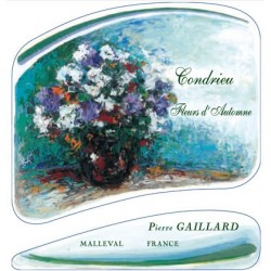 Pierre Gaillard, AOP Condrieu, Fleurs d'Automne 2013